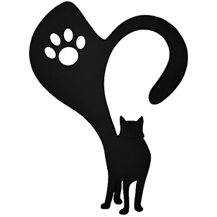 Cats And Love